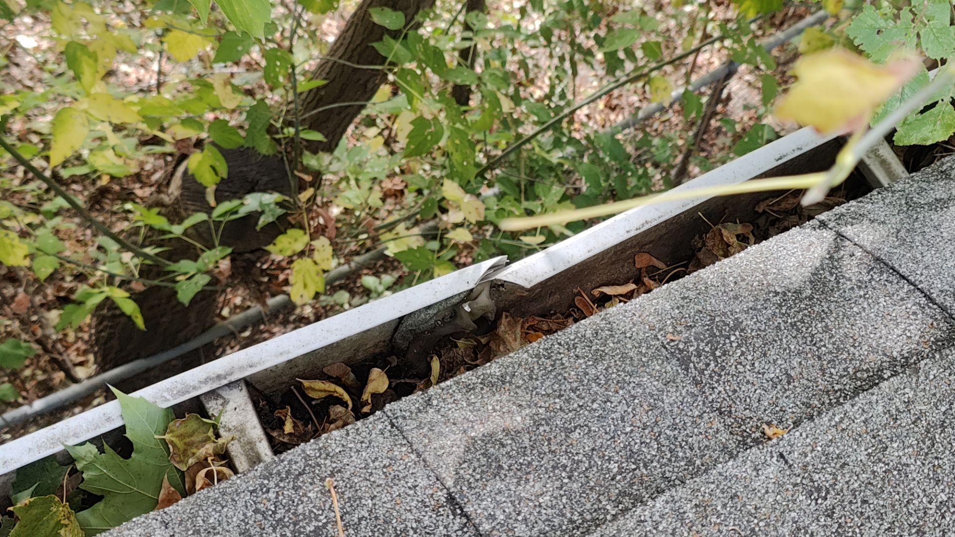 Roof Replacement using Owens Corning Midnight Plum by 180 Contractors