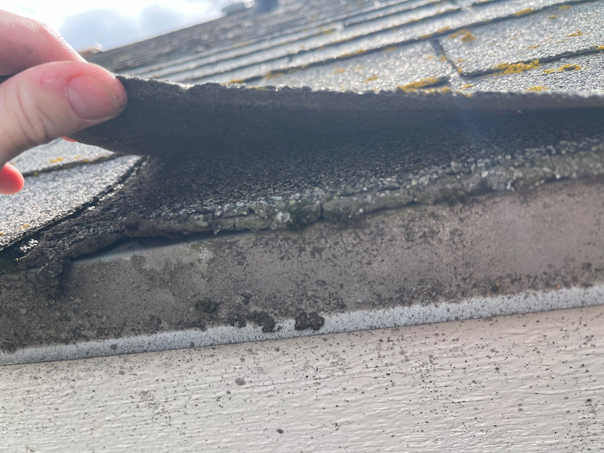 Project in Spokane by Connolly Construction Company