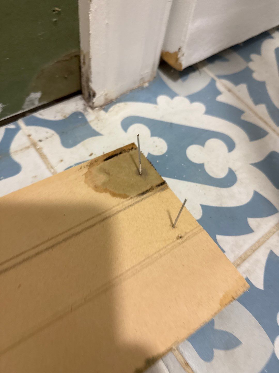 Bathroom and Crawlspace Water Damage and Mold by Healthy Home Solutions