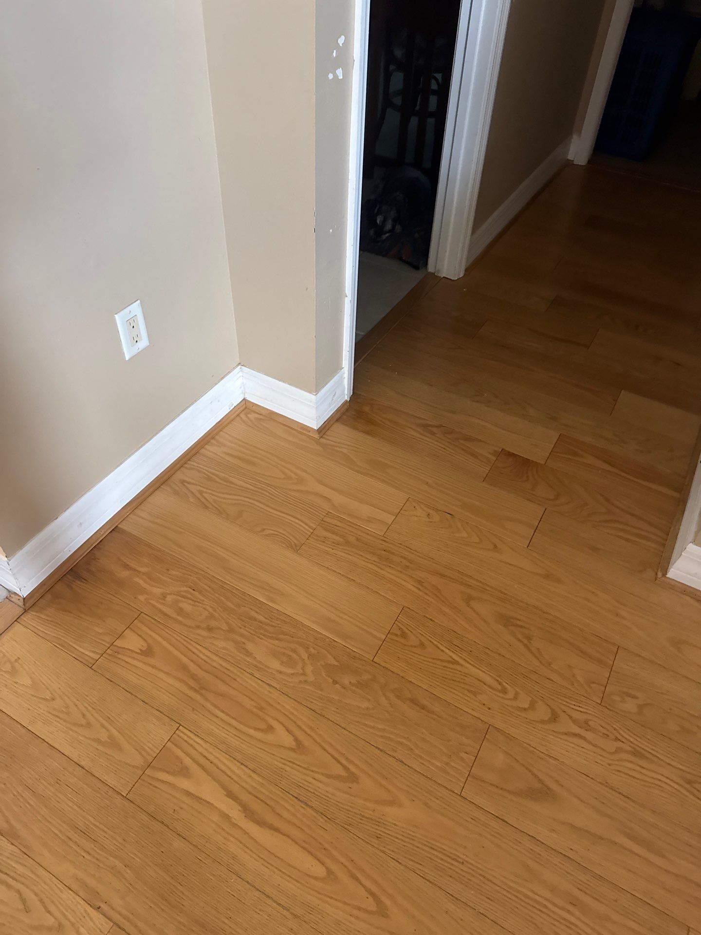 Hardwood repair  by Vrmmm Flooring
