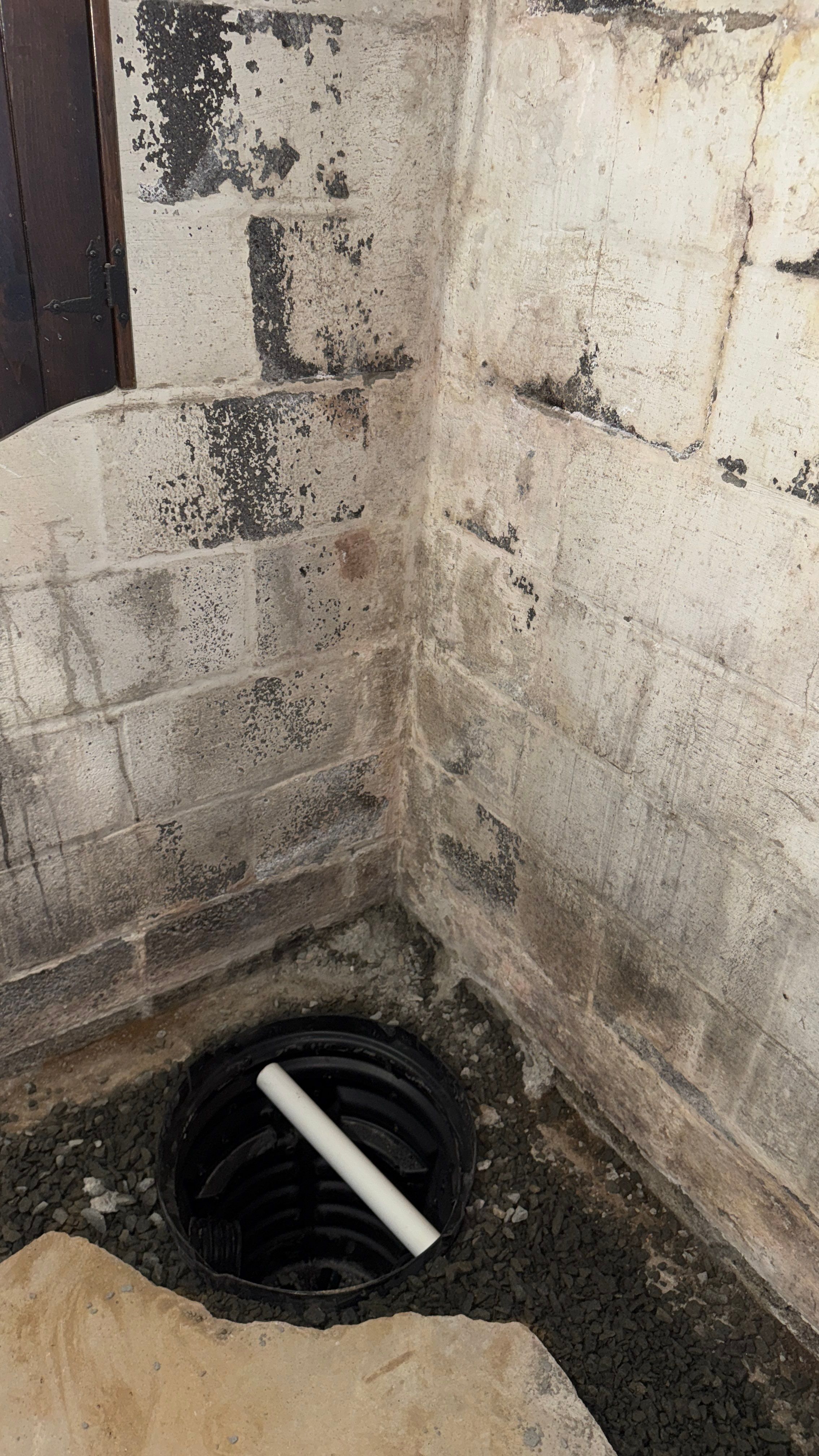 Interior French Drain Washington Township, NJ by Pure Service Pro, LLC 