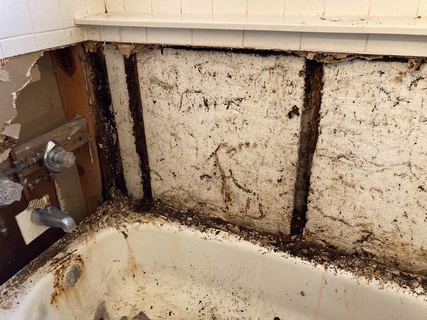 Mold Remediation in Bathroom by Accountable Home Services