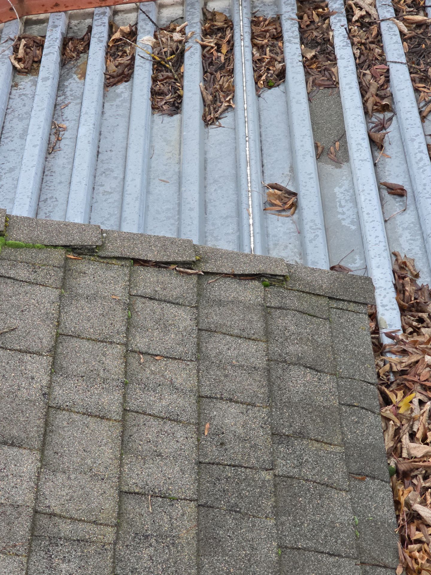Roof Rejuvenation using Roof Maxx Treatment by Roof Maxx of Folsom
