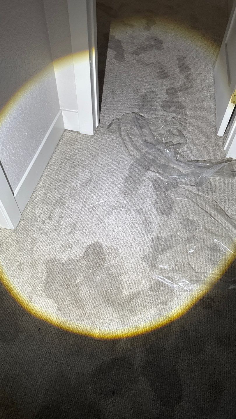 Project in Arvada by Accountable Home Services