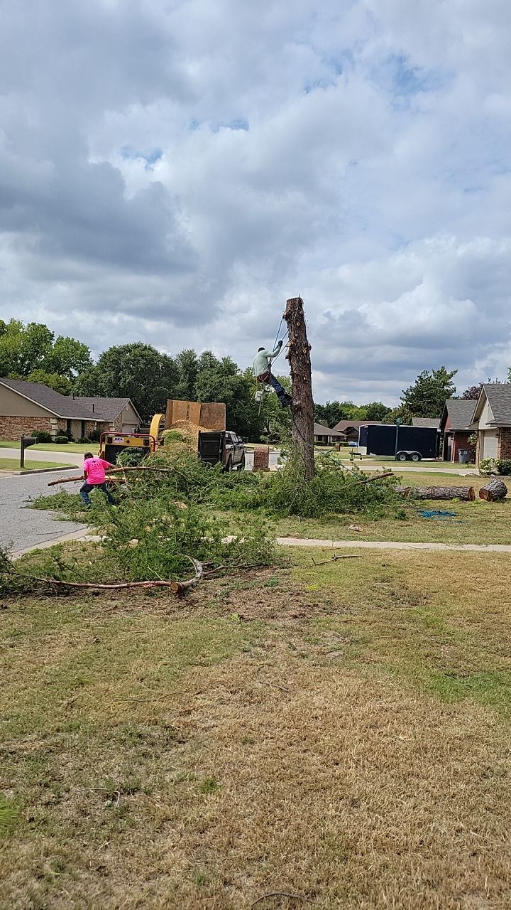 Tree removal , Concrete, Pergola, and sod install  by Clays Services Inc