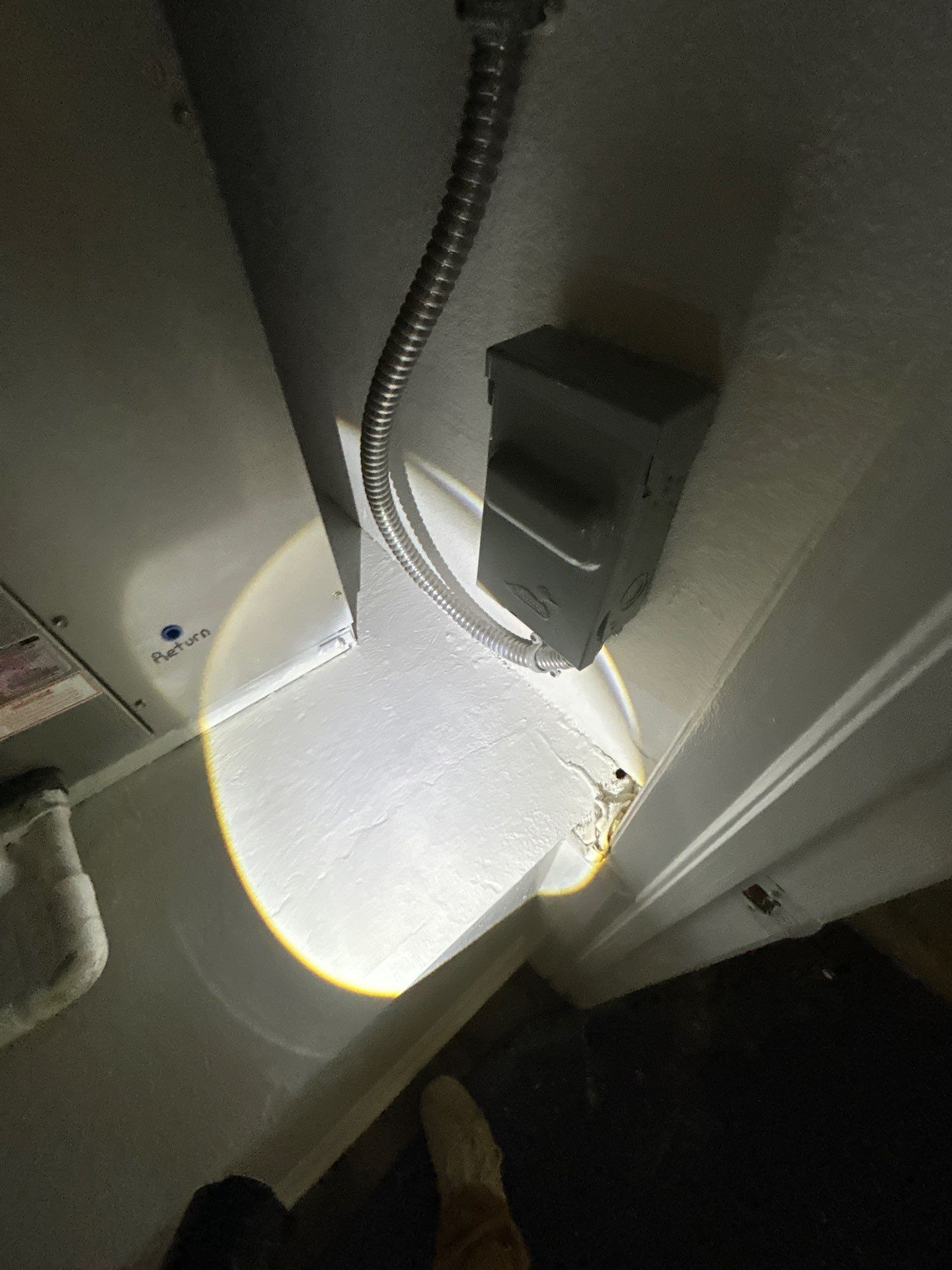 Sarasota Mold Damage by Ampm Restoration Services