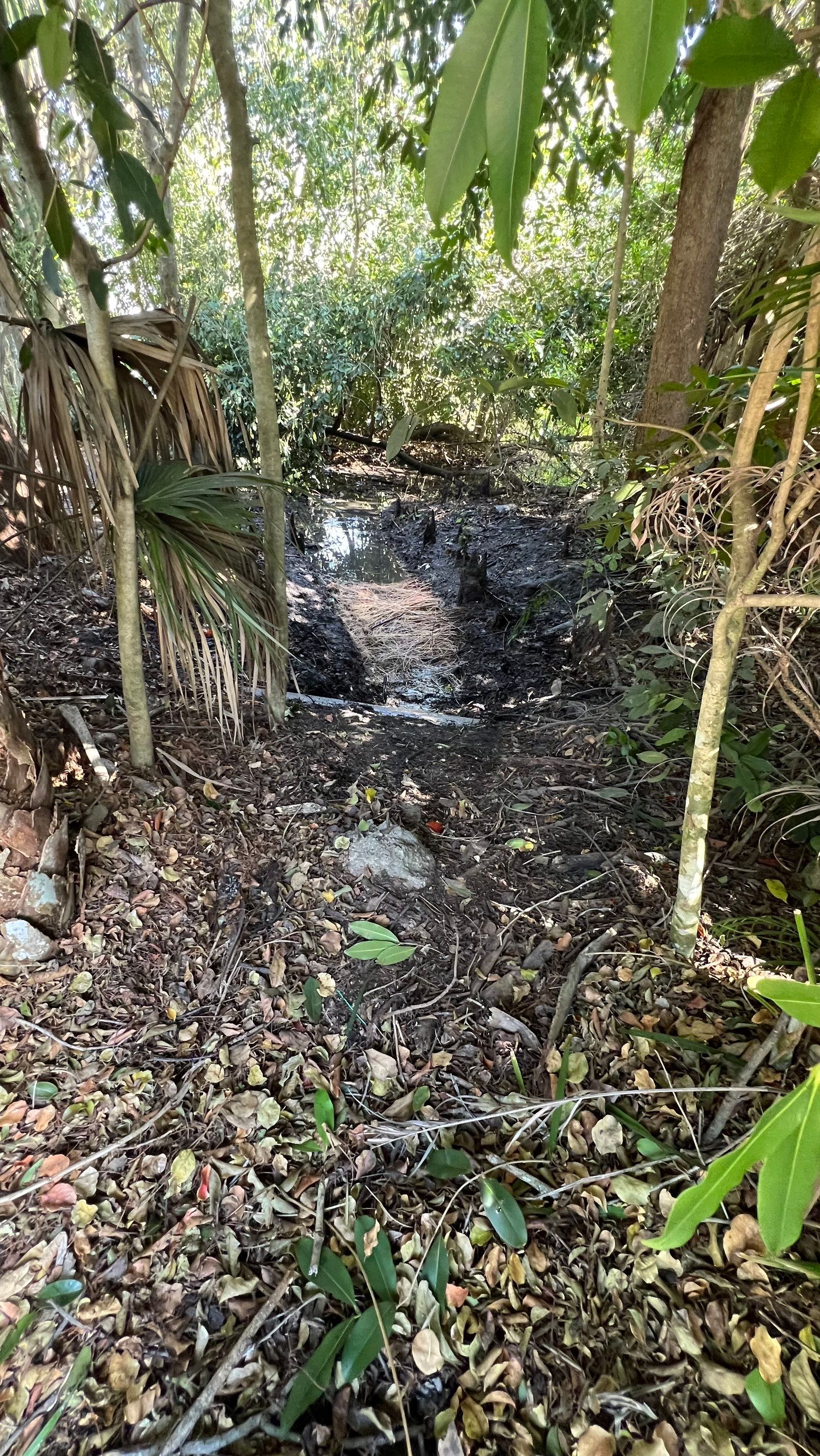 Naples Community Storm Water System Maintenance by APS Power & Water