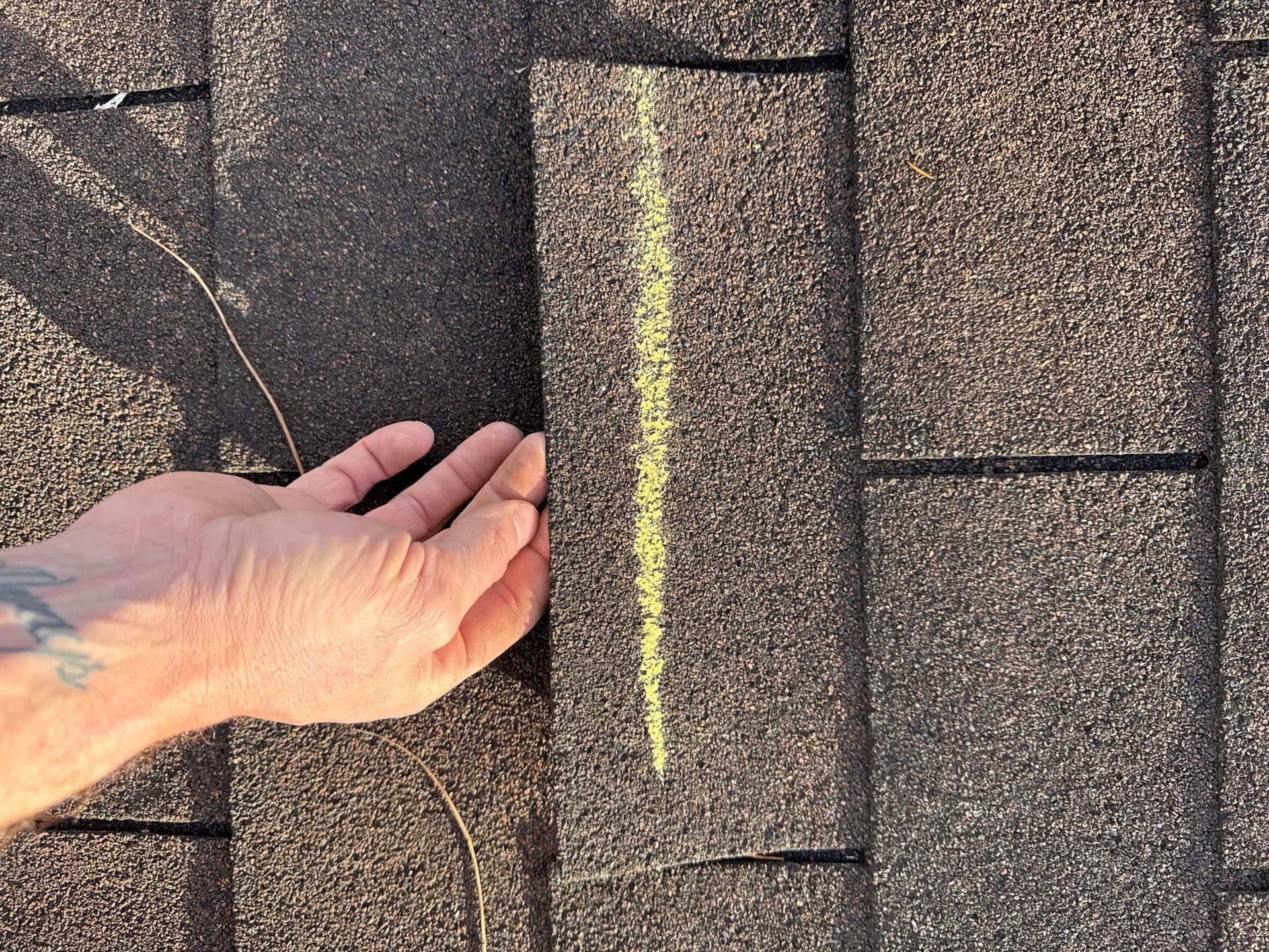 Dwand Montgomery by Imperial Roofing and Contracting 