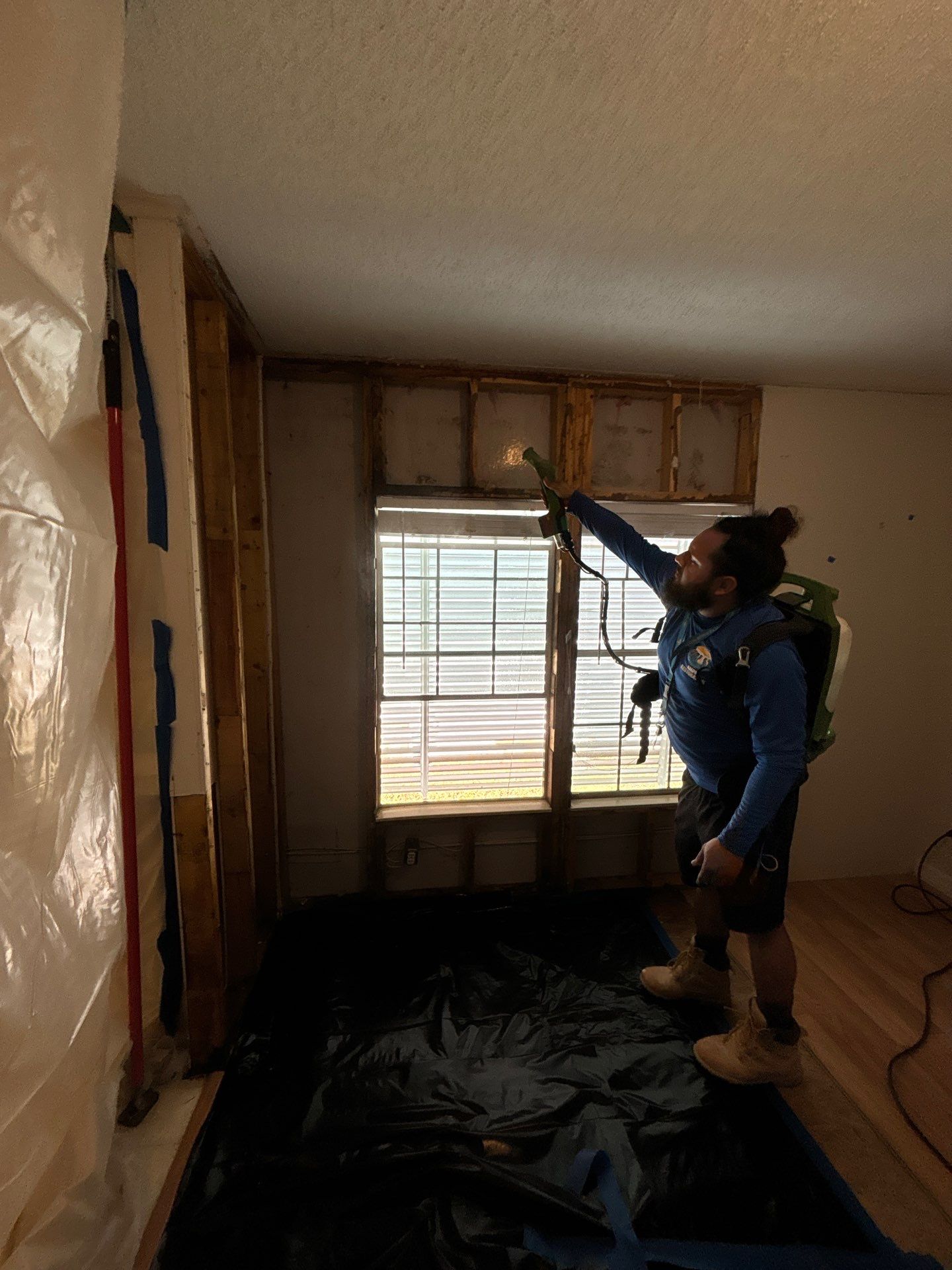 Mold Remediation Palmetto by Ampm Restoration Services 