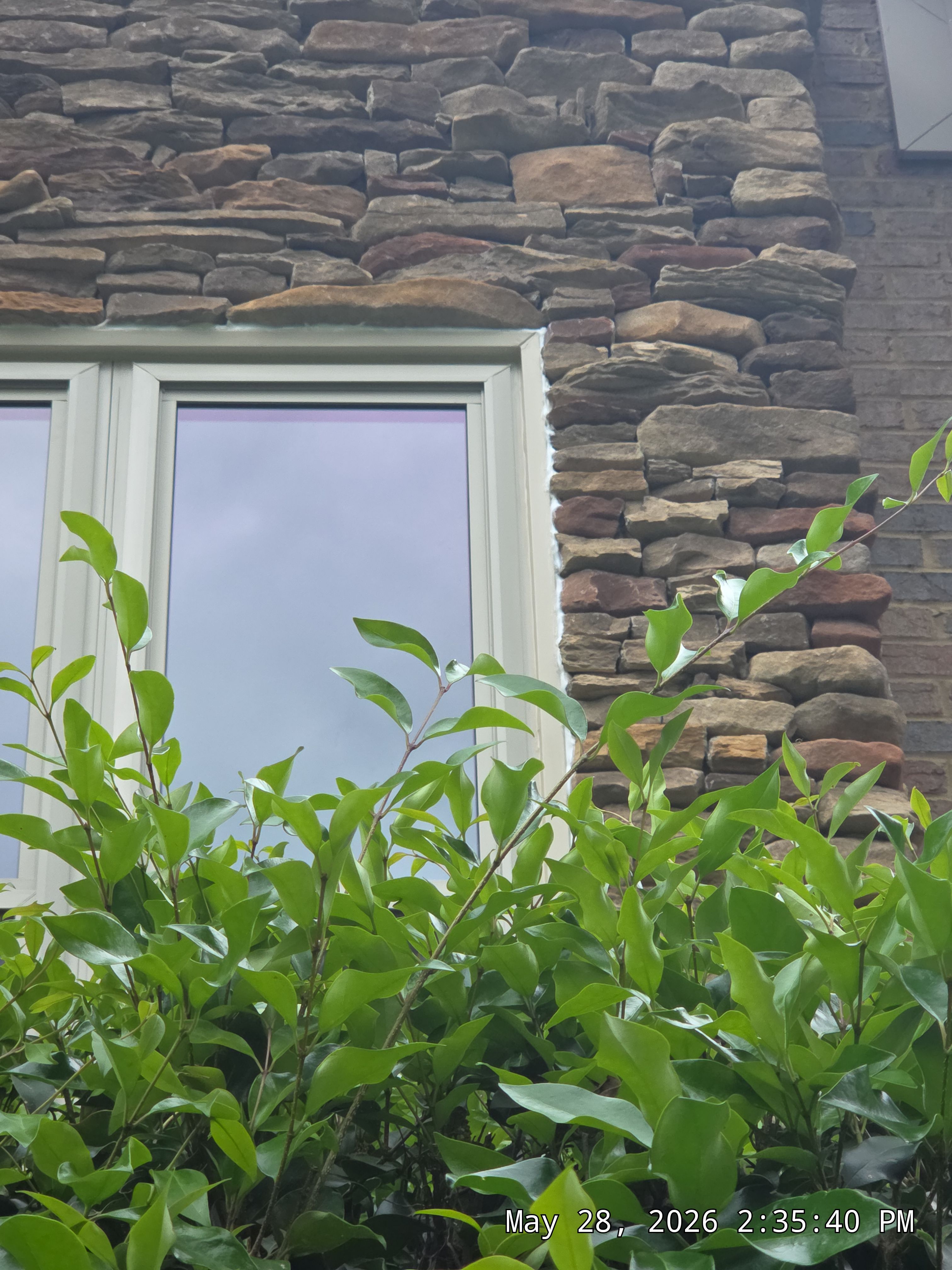 Bruner Project in Helena by The Window Source