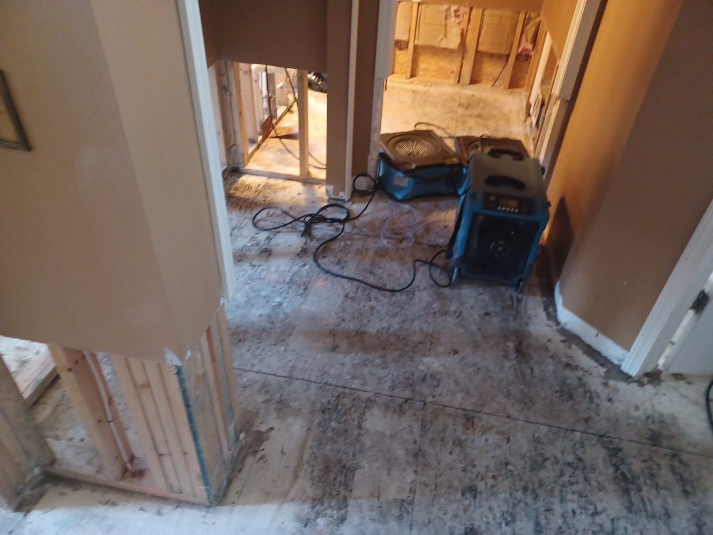 Project in Sterling Heights by EzDry Water Mitigation & Property Restoration