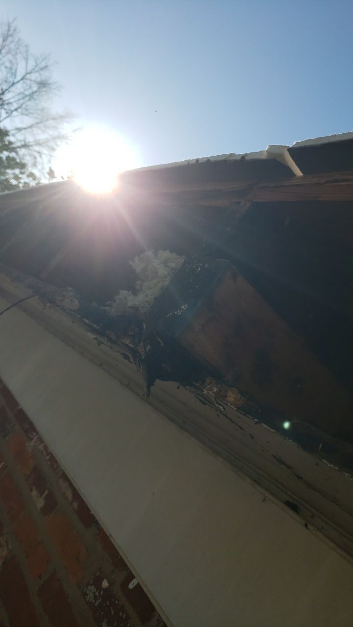 Arlington: CertainTeed Landmark Pro Designer Shingles in Max Def Burnt Sienna by RM Banning, Inc.