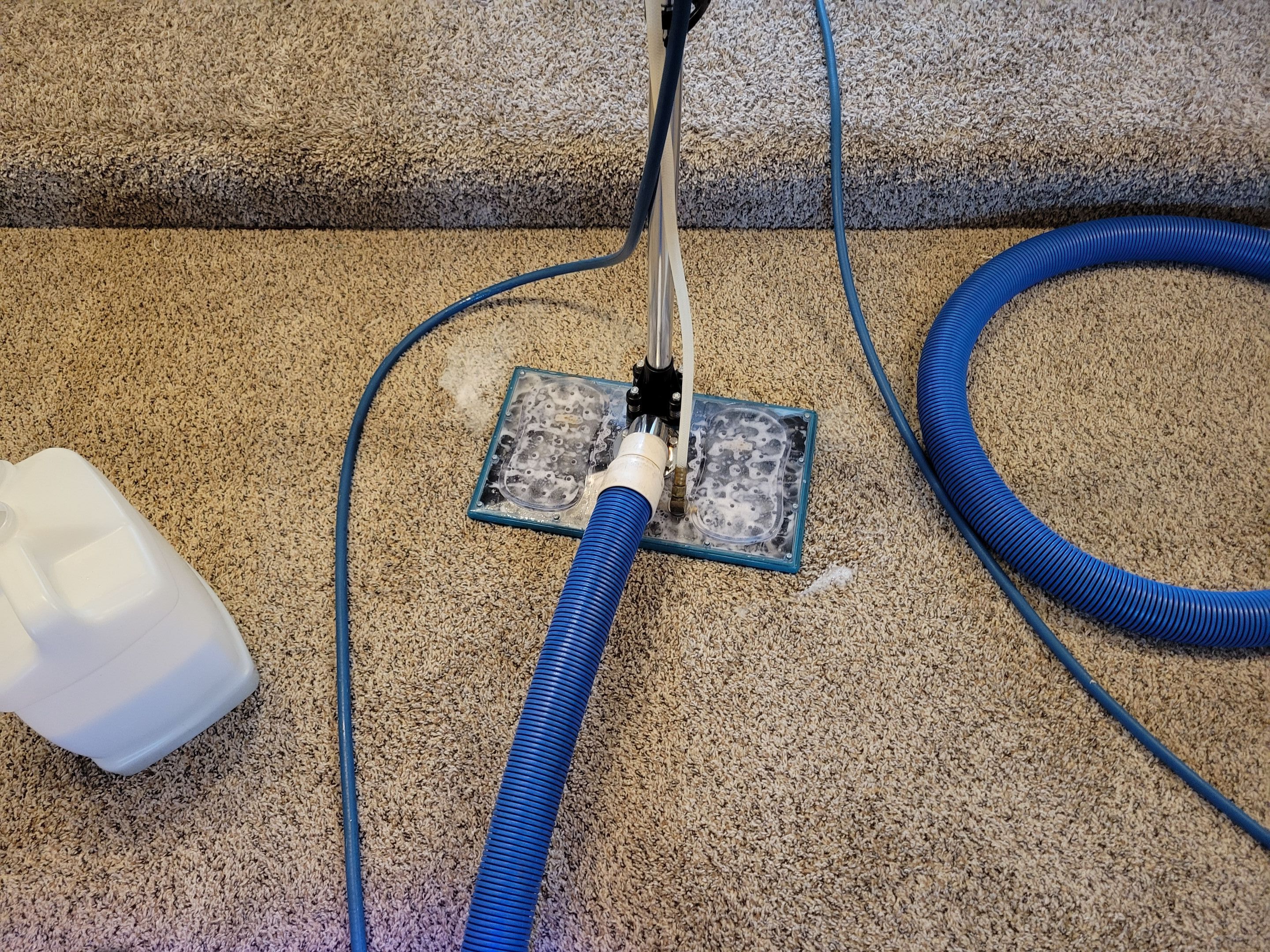 Subsurface Urine Extraction by Ardent Carpet Restore LLC