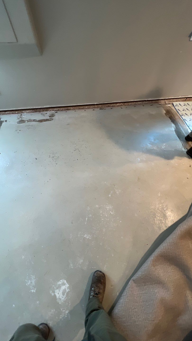 Mold Remediation  by Accountable Home Services