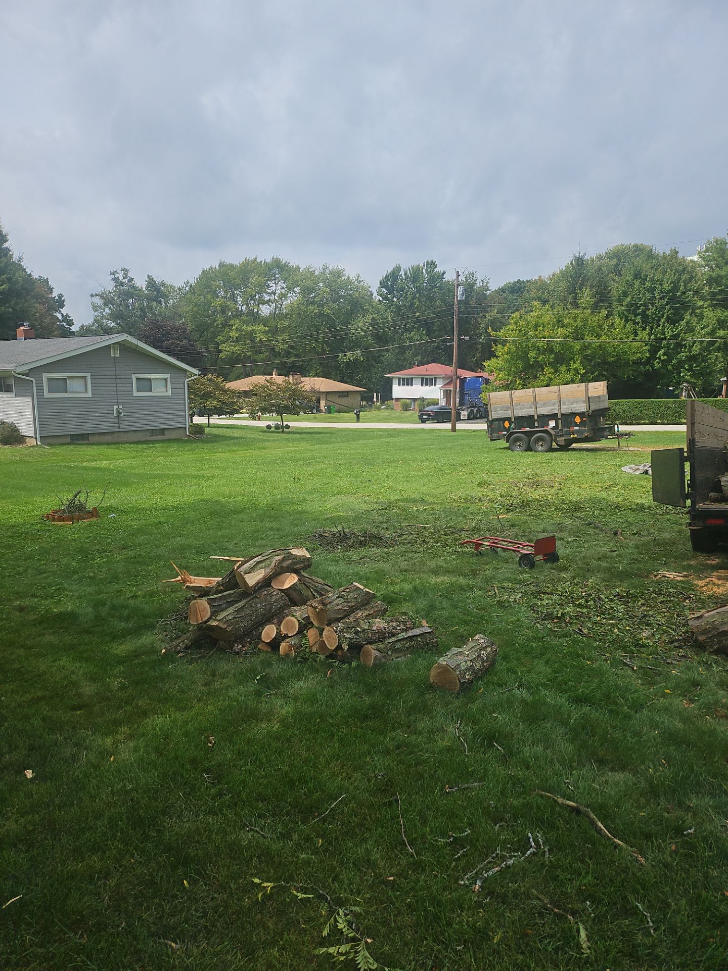 Tree Removal using Tree Removal by Mike Jones & Sons Tree Service LLC 