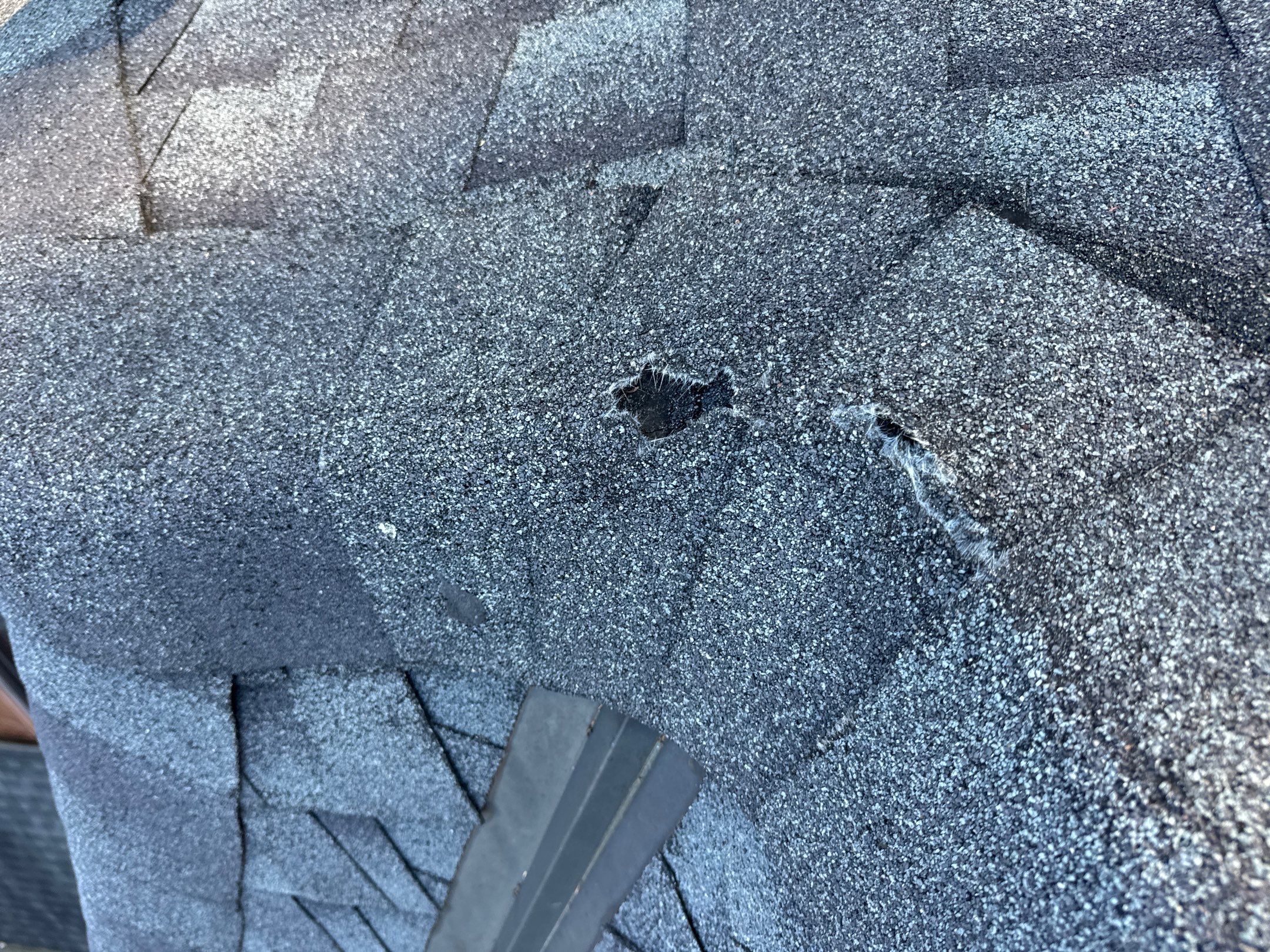 Chyleen Feagin by Tru-Built Roofing