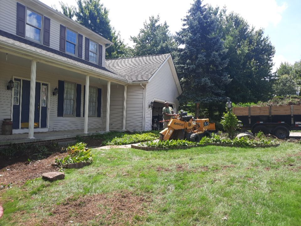 Tree Removal using Tree Removal by Mike Jones & Sons Tree Service LLC 