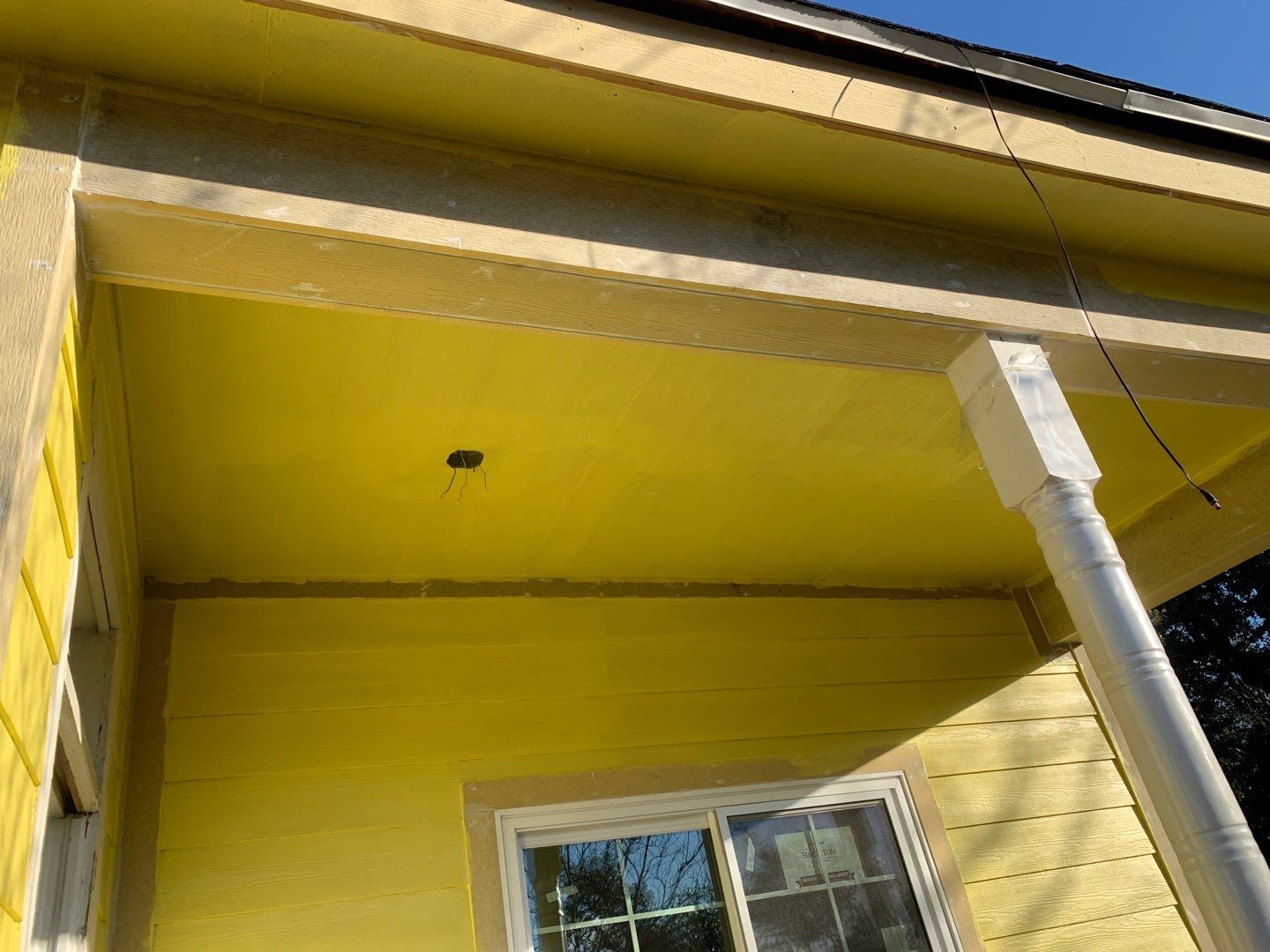 Olive you a Lot! by Bayfront Roofing and Construction