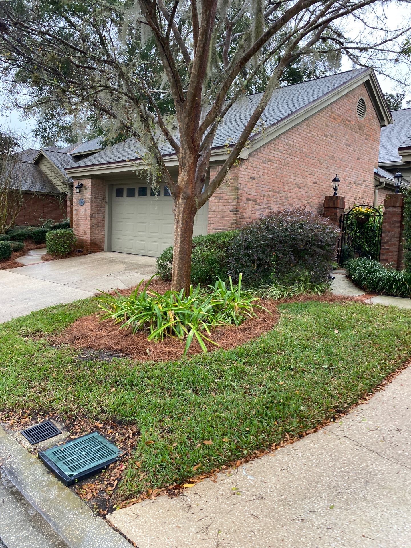 Deerwood Pointe | Tree Removal & Pine Straw Installation by ProGreen Services
