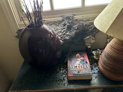 Yellowjackets in Bedroom