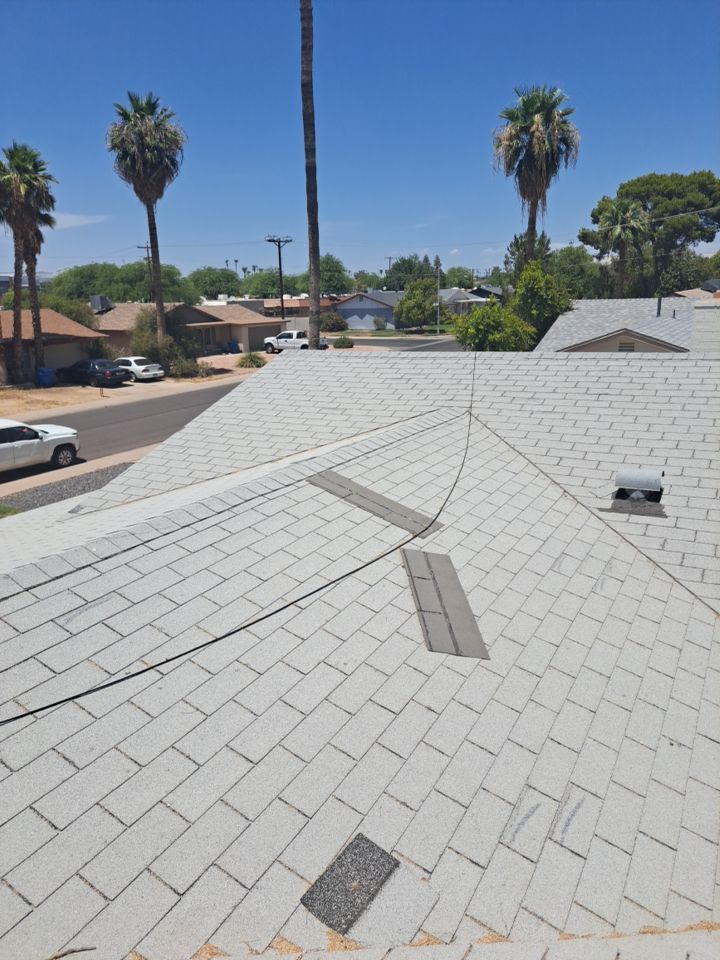 Silver Birch Shingles by Reimagine Roofing