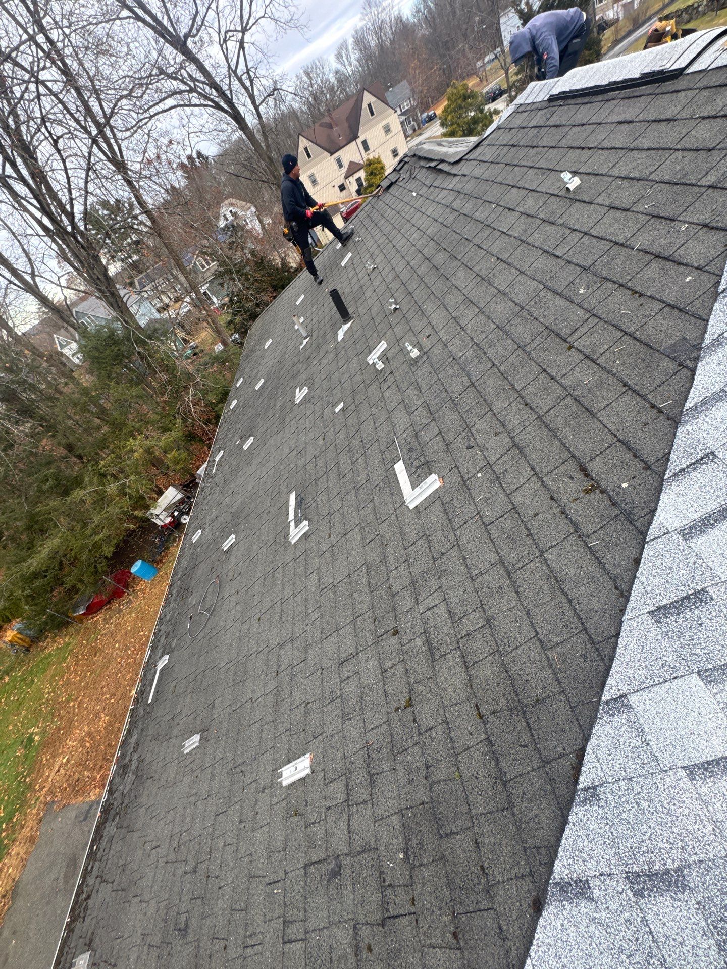 Silver Birch Shingles by Reimagine Roofing