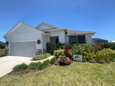 Impact Bahamas In Grey Brown