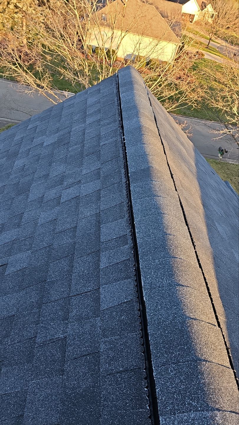 Atlas Pinnacle Pristine, Color: Black Shadow, Drip Edge, Color: Black by Eagle Eye Roofing