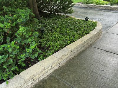 natural stone cleaning using Algaecide, soft wash soap