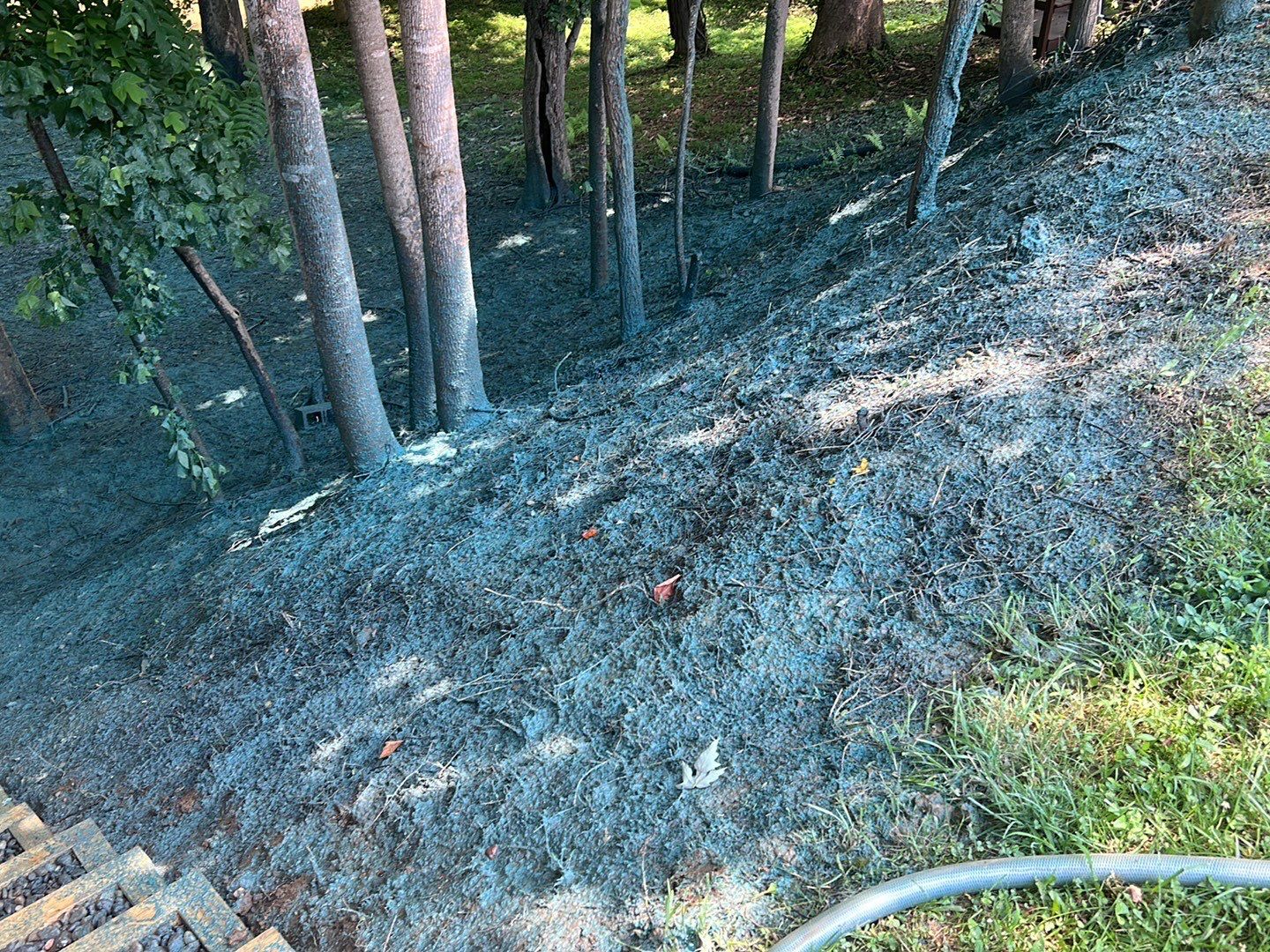 Gain unused yard space by GrassBusters, Inc.