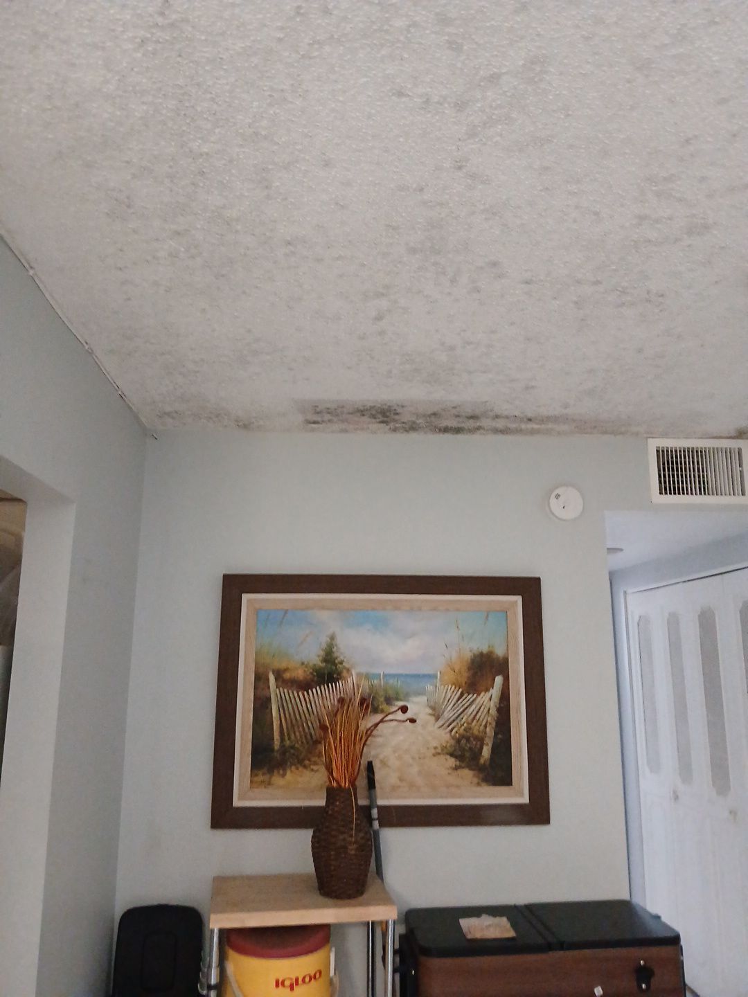 Mold Remediation and Moisture Detection Services in West Palm Beach by SuperClean