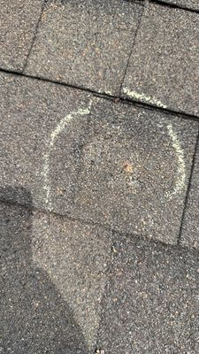 Turtle Shell gutter protection installation in Naperville, IL 60563, photograph 25