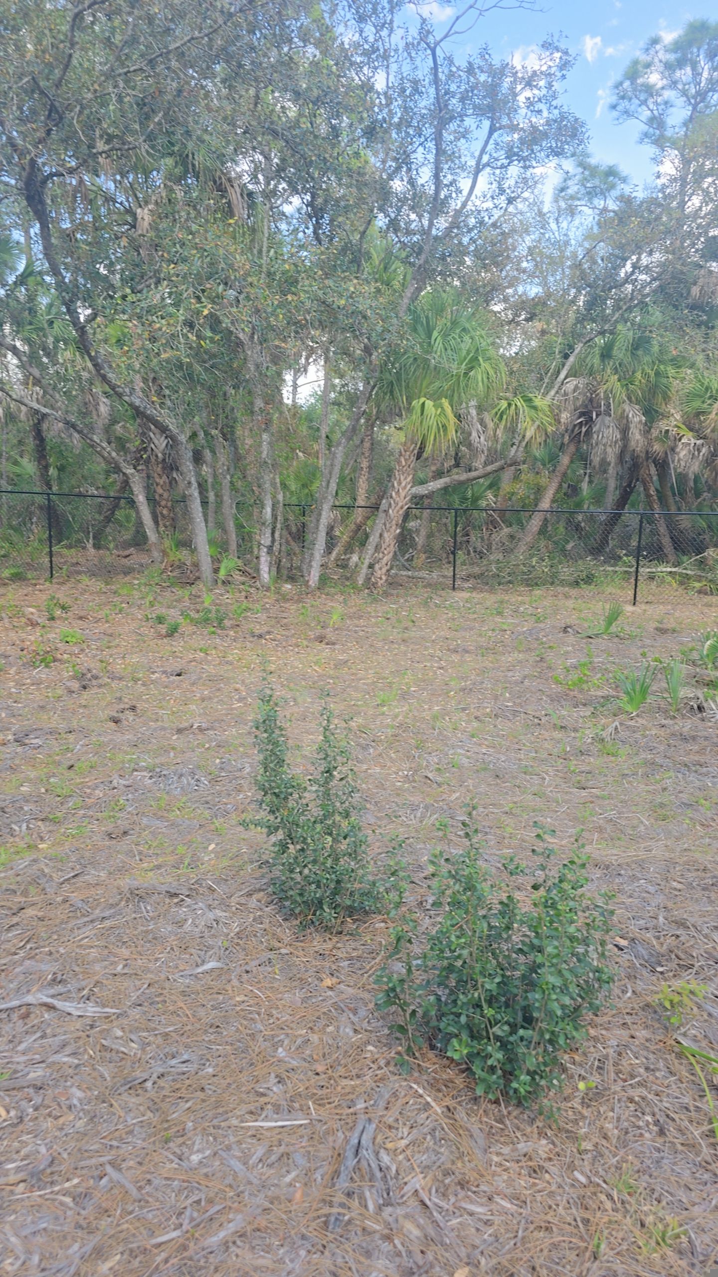 Chain Link Install in North Port by True Fence LLC