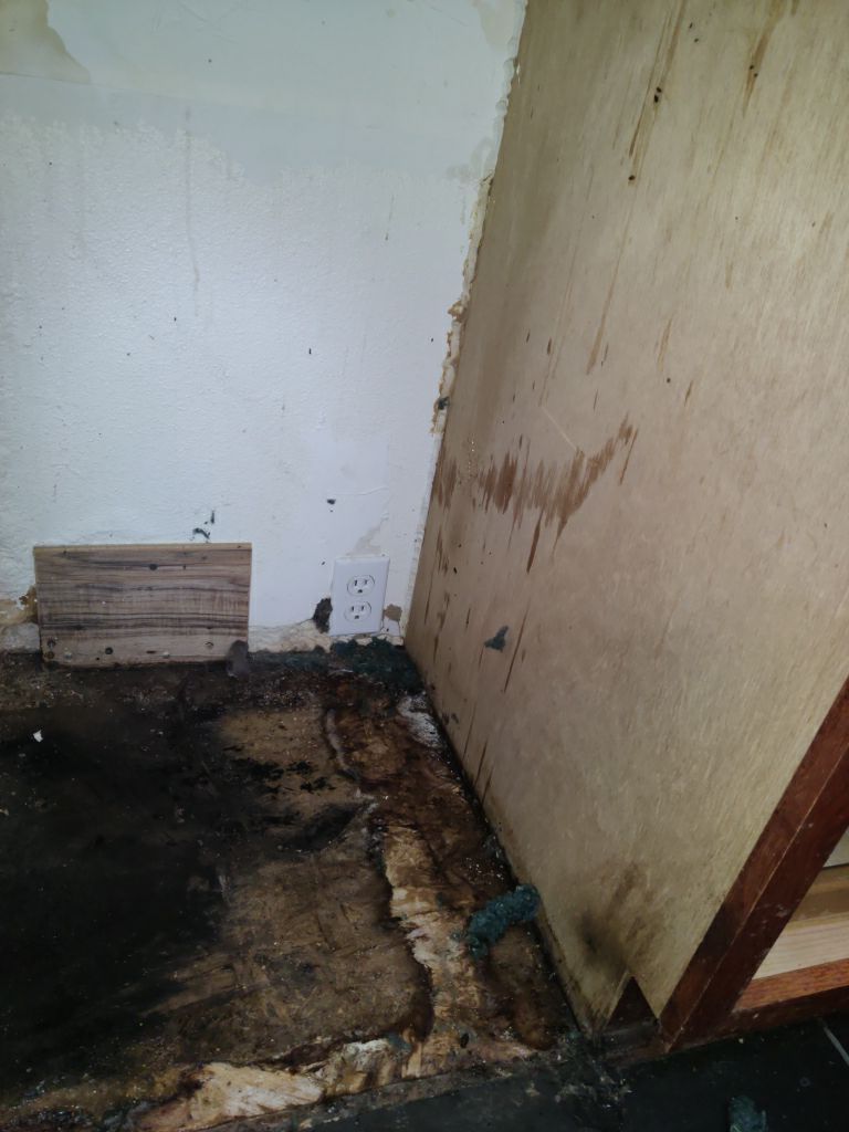Mold Remediation using Containment by Accountable Home Services