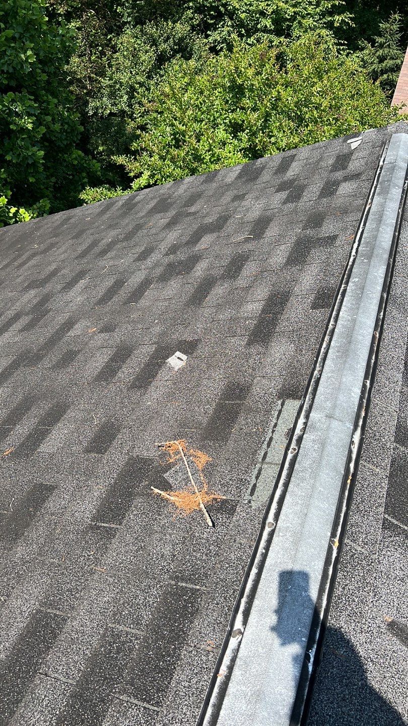 Reston: CertainTeed Landmark Pro Architectural Shingles in Max Def Moire Black by RM Banning, Inc.