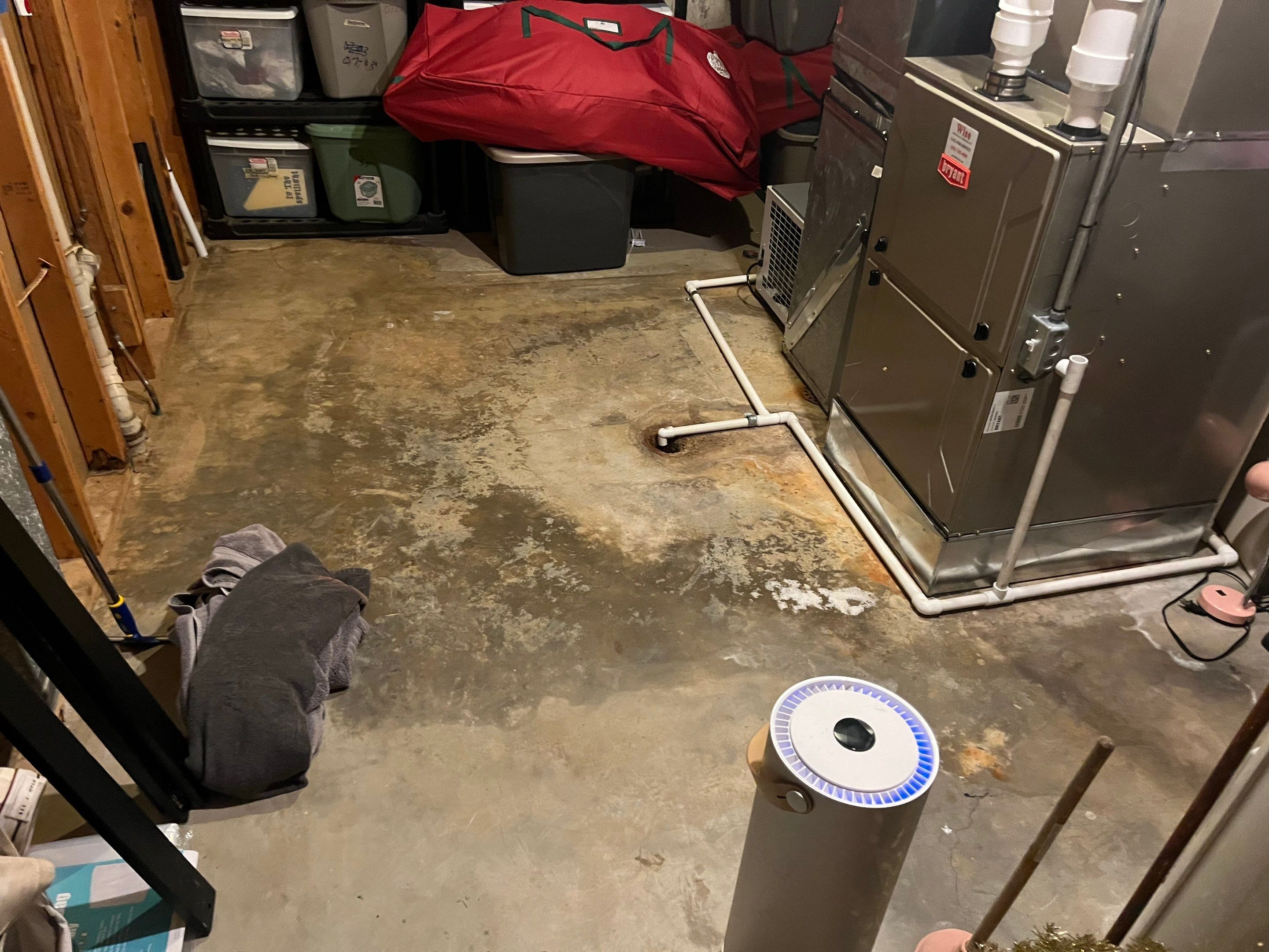 Crawlspace/Interior Mold Remediation in Prospect, KY by ANR Restoration