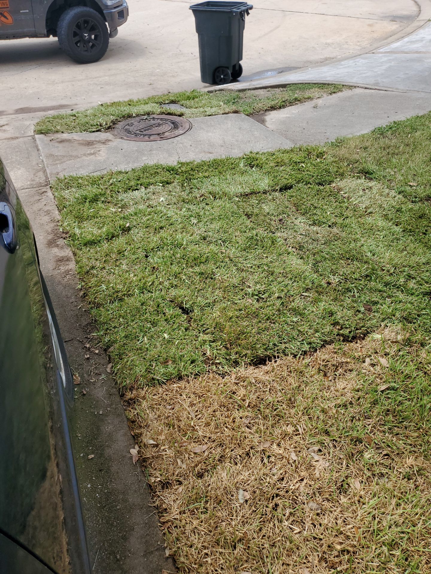 Sandra — Front & Backyard Leveling, Drainage, and Sod Transformation by Texas Urban Elements