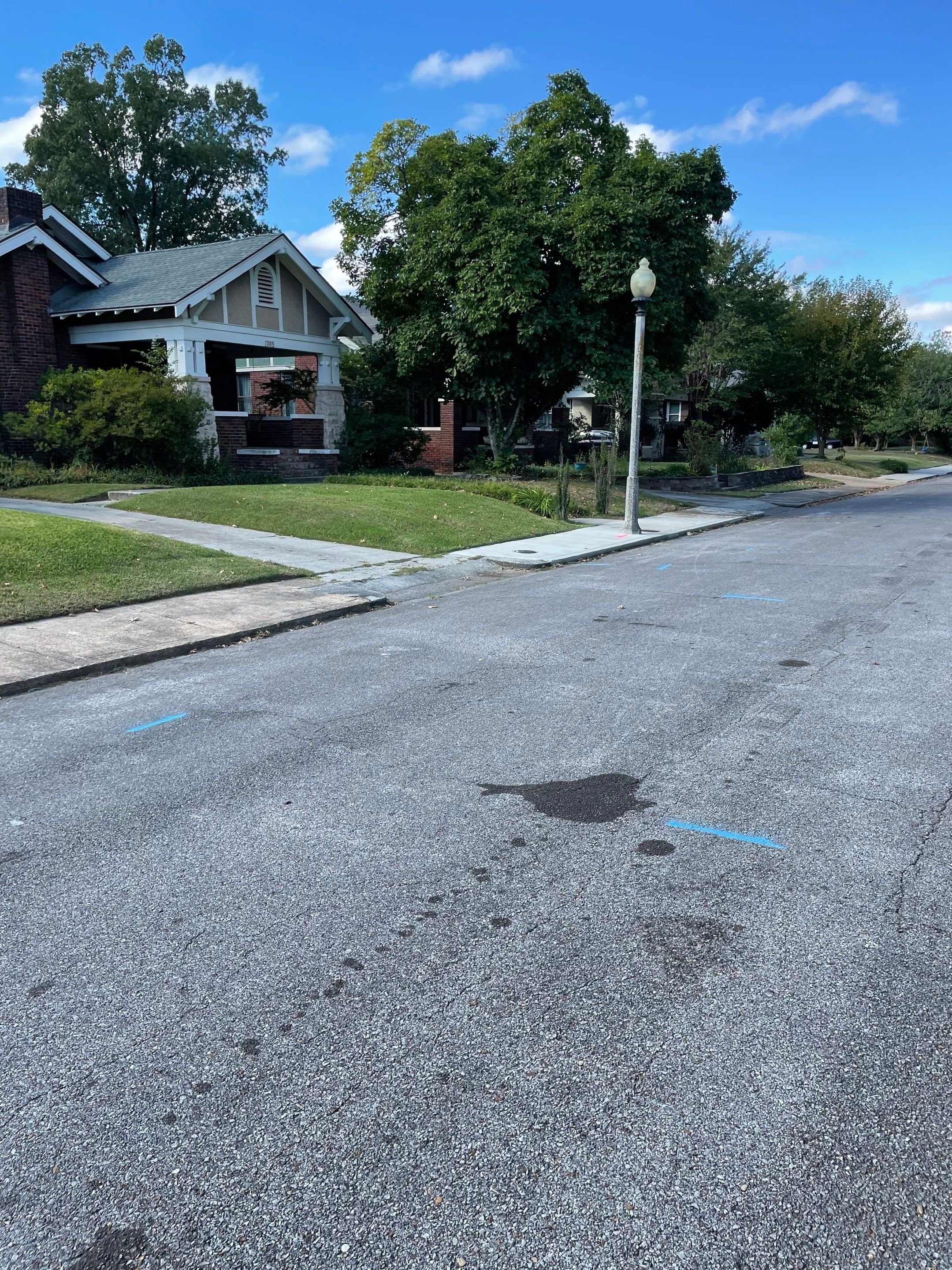 Utility Locate for Survey Purposes by Alsip Locating Service, LLC