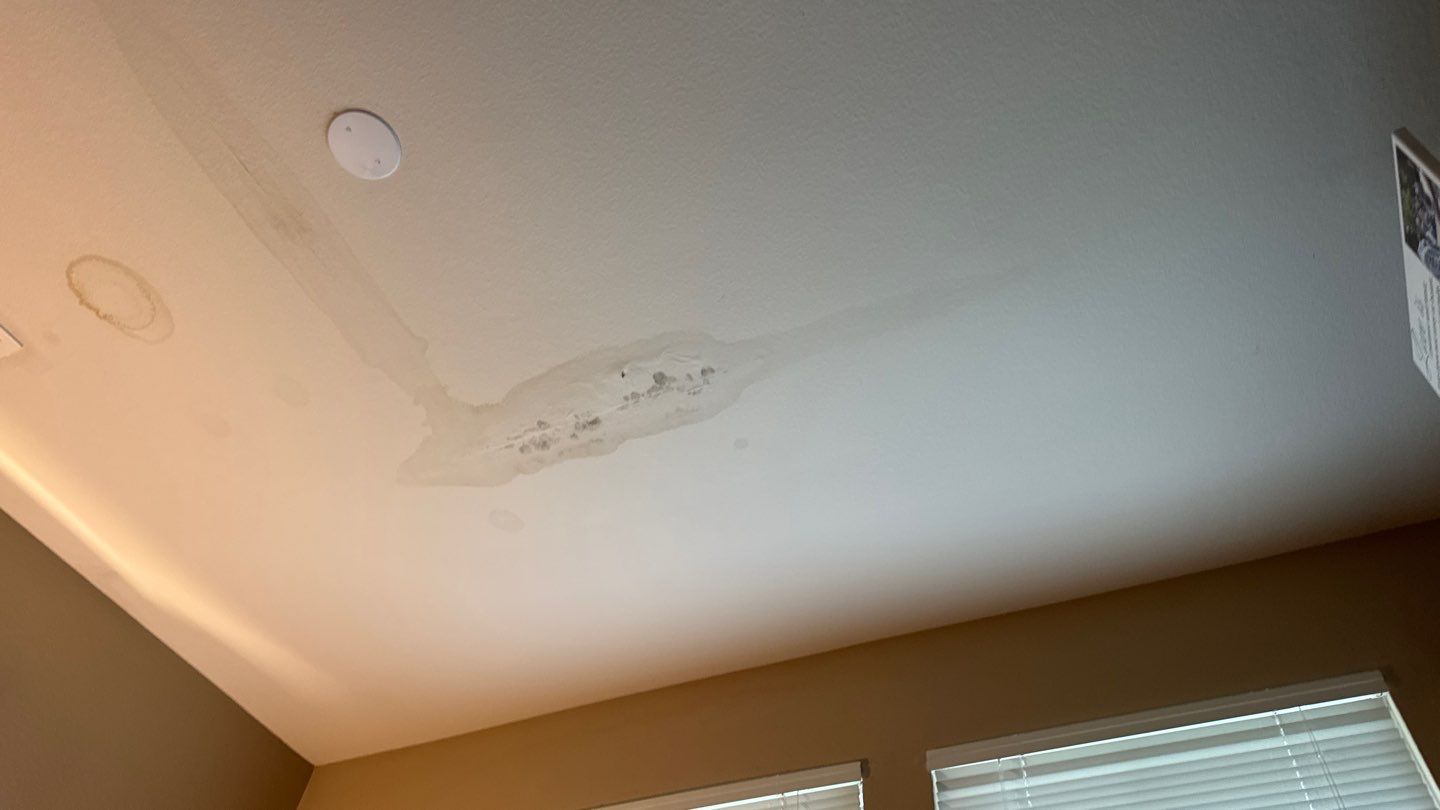 Project by NuLead Construction Inc by NuLead Construction Inc