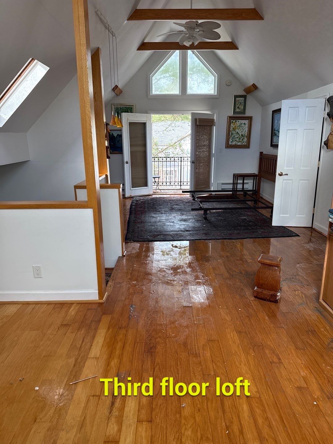 Large‑Loss Water Damage, Structural Drying & Mold Remediation – Rehoboth Beach, DE by Healthy Home Solutions