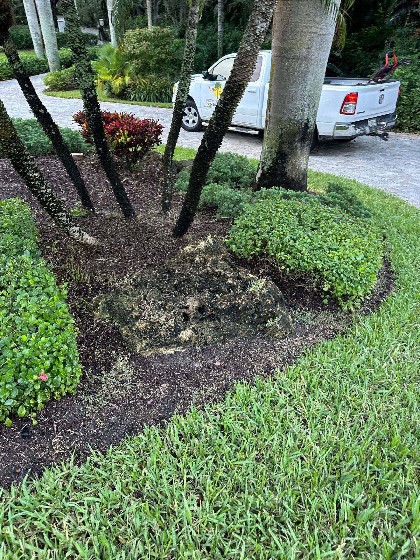 Sewall's Point Phase 1 - The Art of the Cutback by Alpha Zeta Enterprises Inc