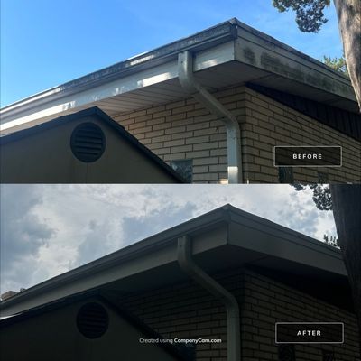Project in Prospect Heights