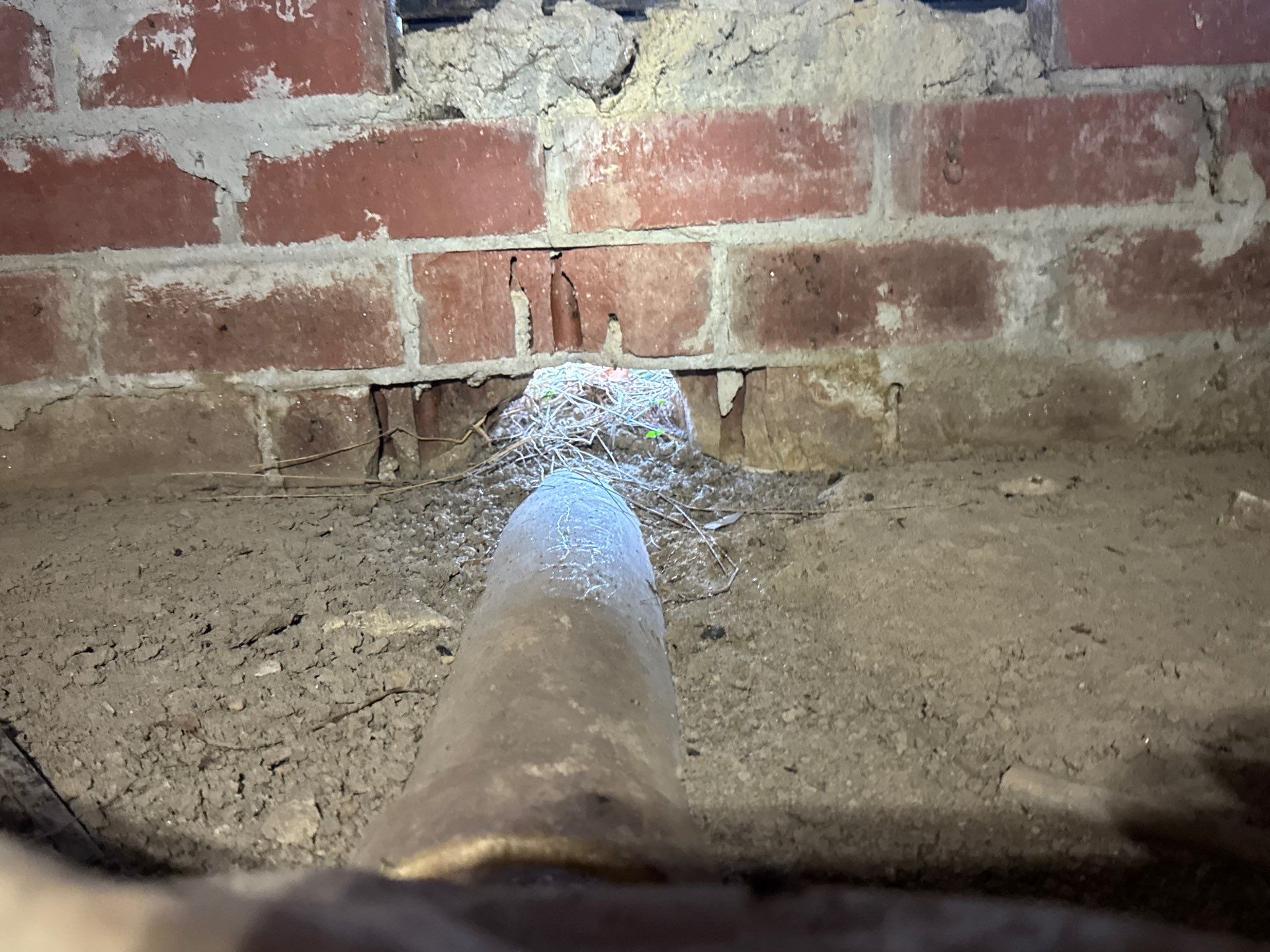 Project in Ivor by Patriot Crawl Space Repairs