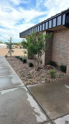 Landscaping Facelift and small fence build