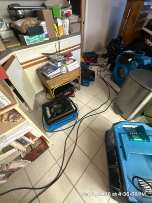 Emergency Water Extraction — Estero, FL