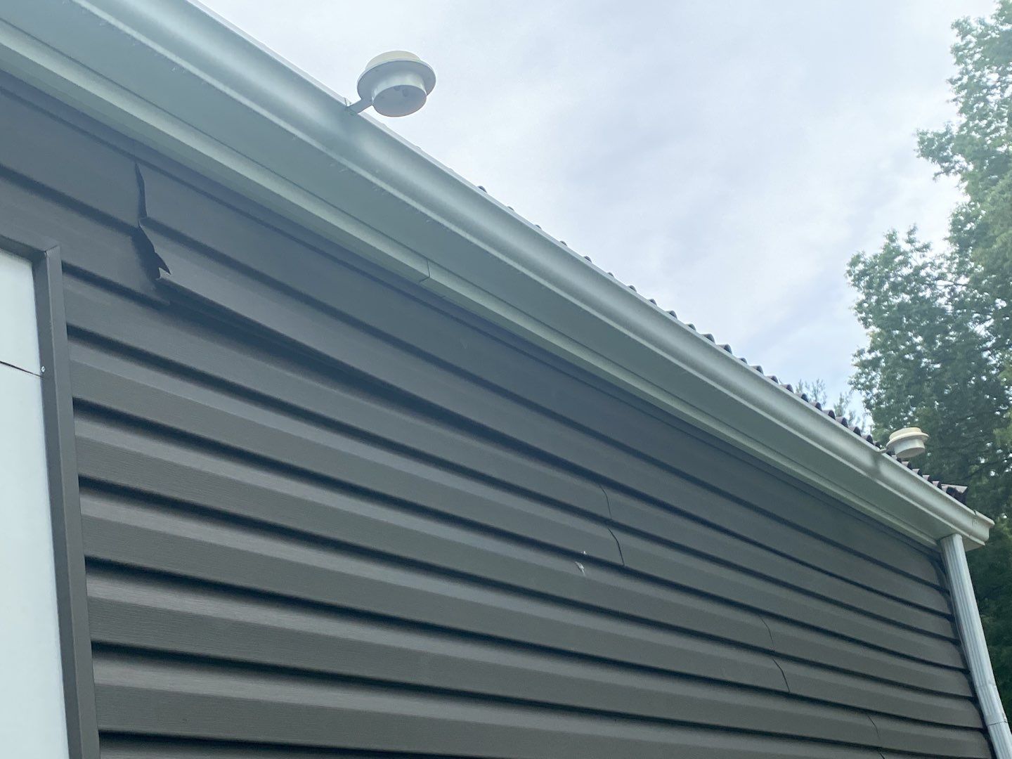 Monica Petry by Silver Leaf Contracting 