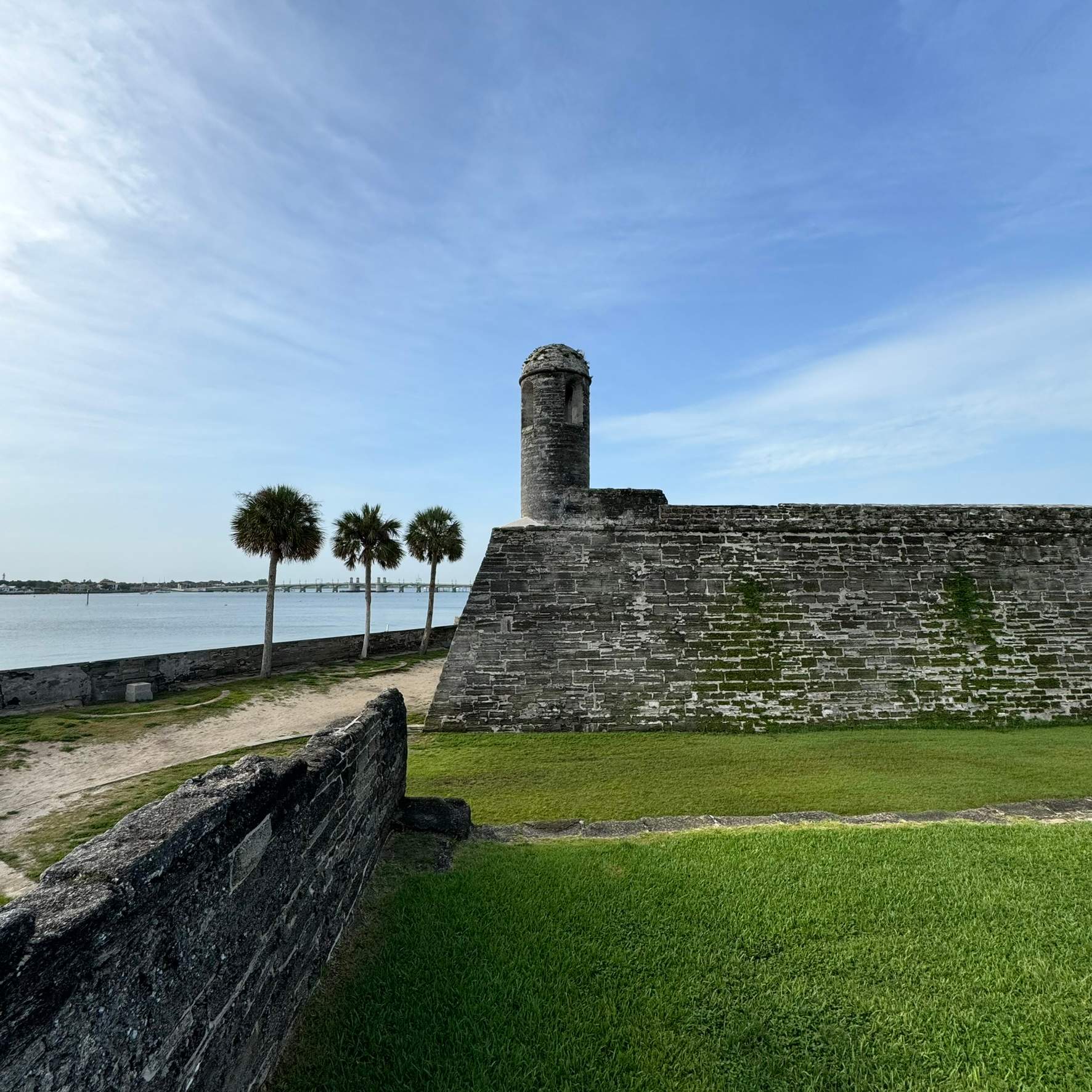 Tree Work | Castillo de San Marcos National Monument 2 by ProGreen Services