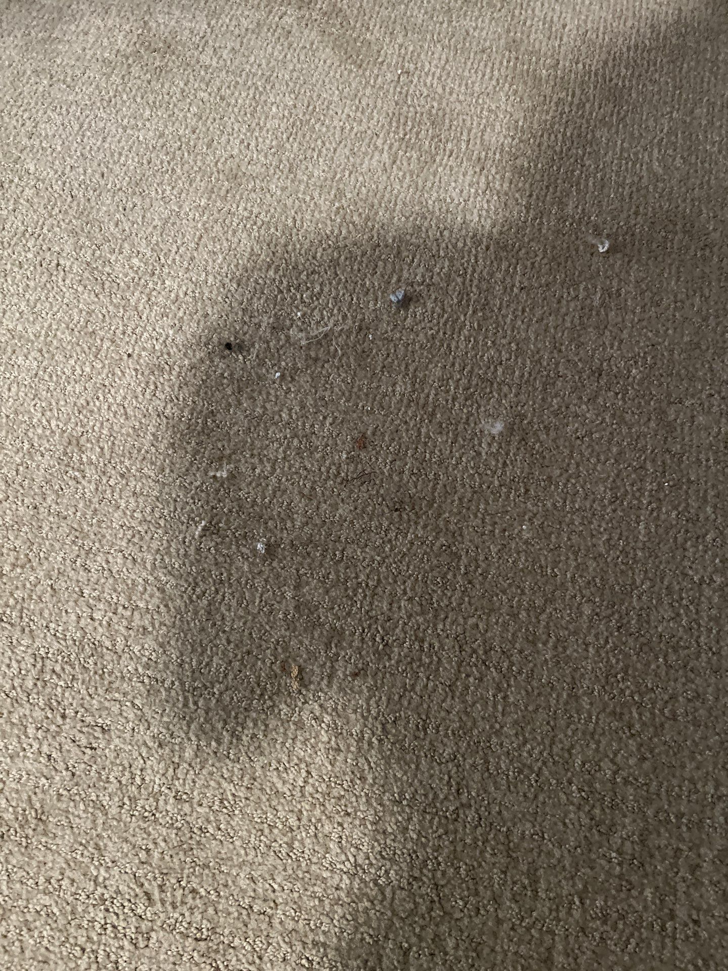 House cleaning in Lake Oswego by Cloud 9 Professional Cleaning Services