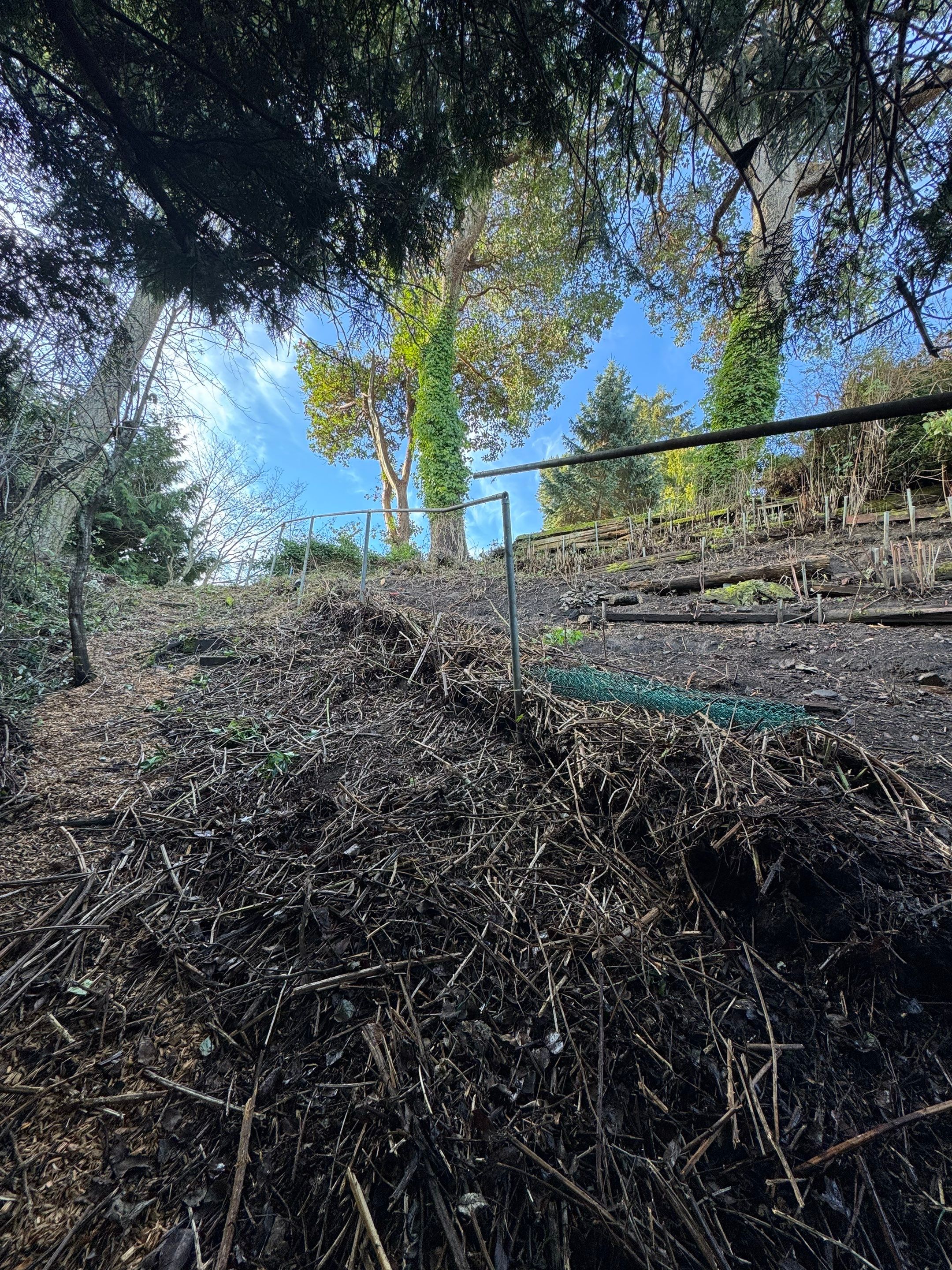 Georgia Park Terrace — Living Slope Transformation by Habanero Landscape Solutions