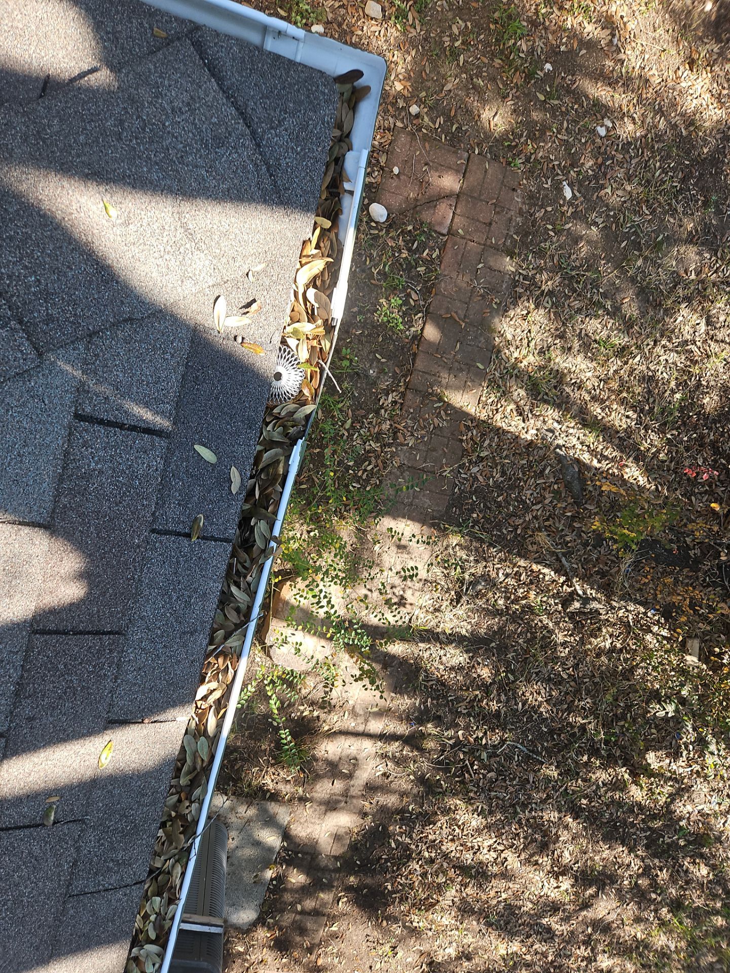 Leak Investigation & Repairs by JTX Pro Services LLC